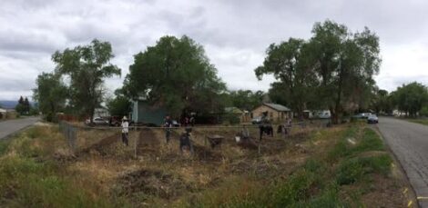 Growing Gardens, Growing Community Image